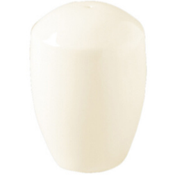 Pepper Shaker¡ ³¯