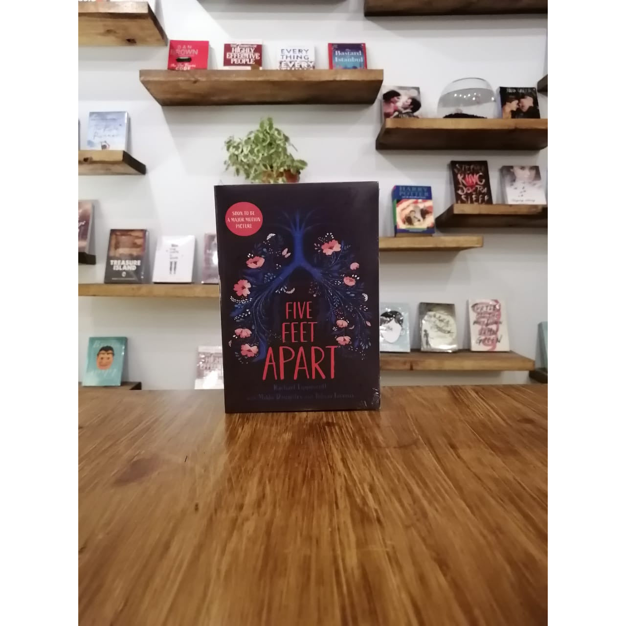 five feet apart by rachael lippincott