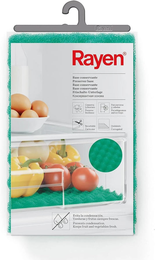 Rayen Vegetable Compartment Base (6313.01)
