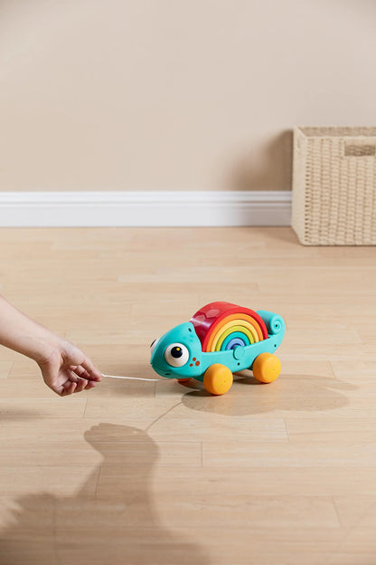 Rainbow Chameleon