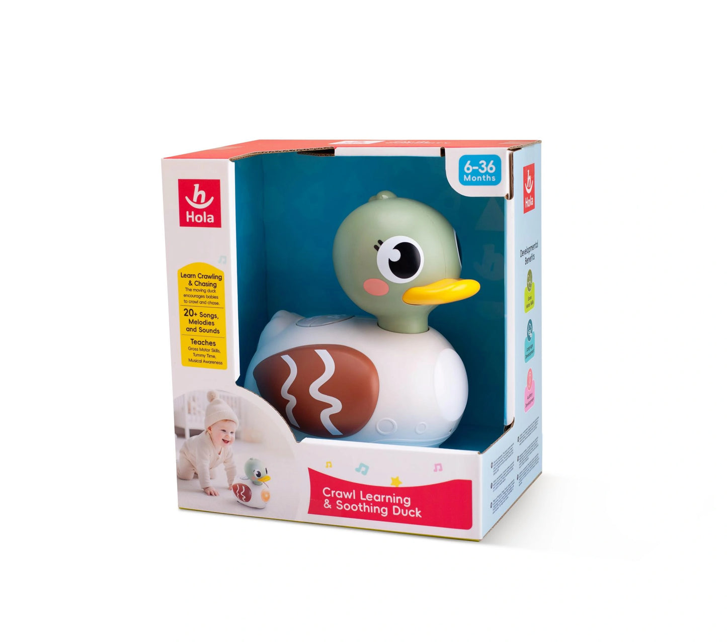 Crawl Learning & Soothing Duck