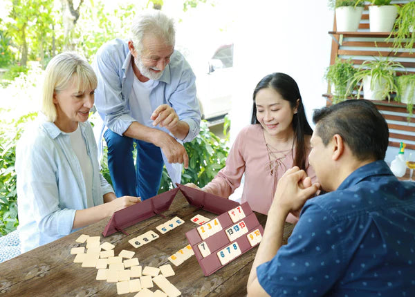 Ambassador - Rummy | Classic Games