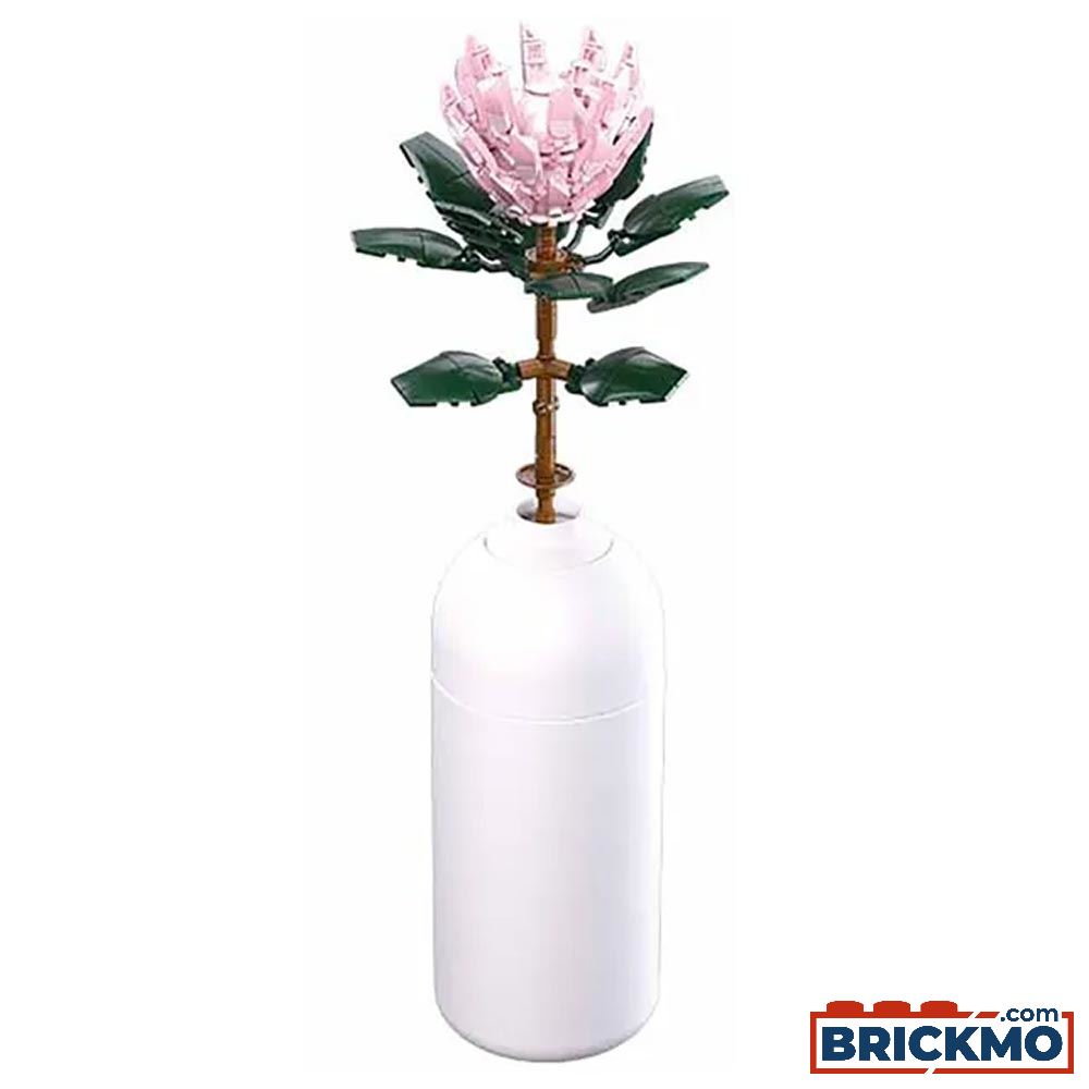 PLEYERID-Protea Cynaroides 219PCS