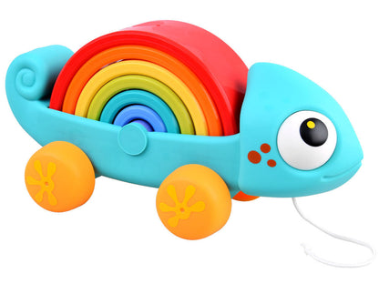 Rainbow Chameleon