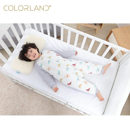 Colorland Sleeping Bag - Colored