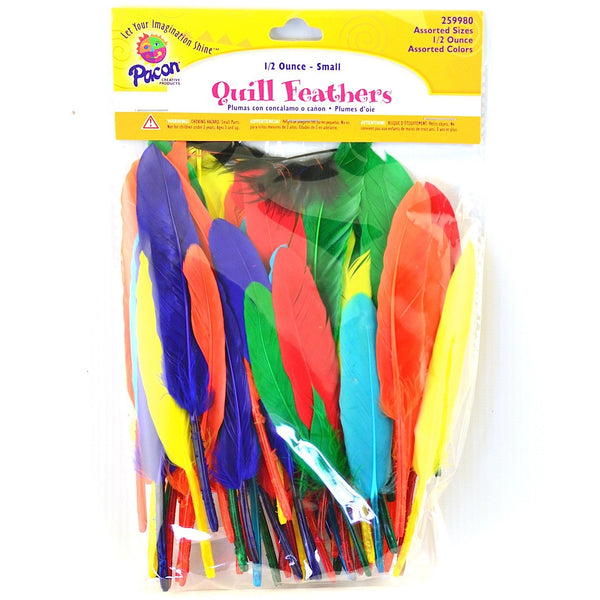 Pacon Colored Quill Feathers / Pack of 0.5 Ounce