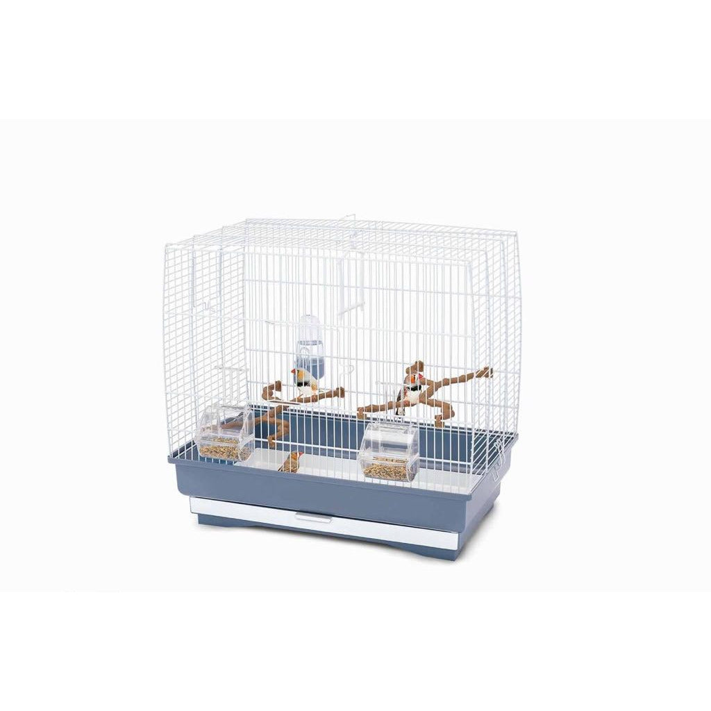 Birds cage ( IRENE 3 )
