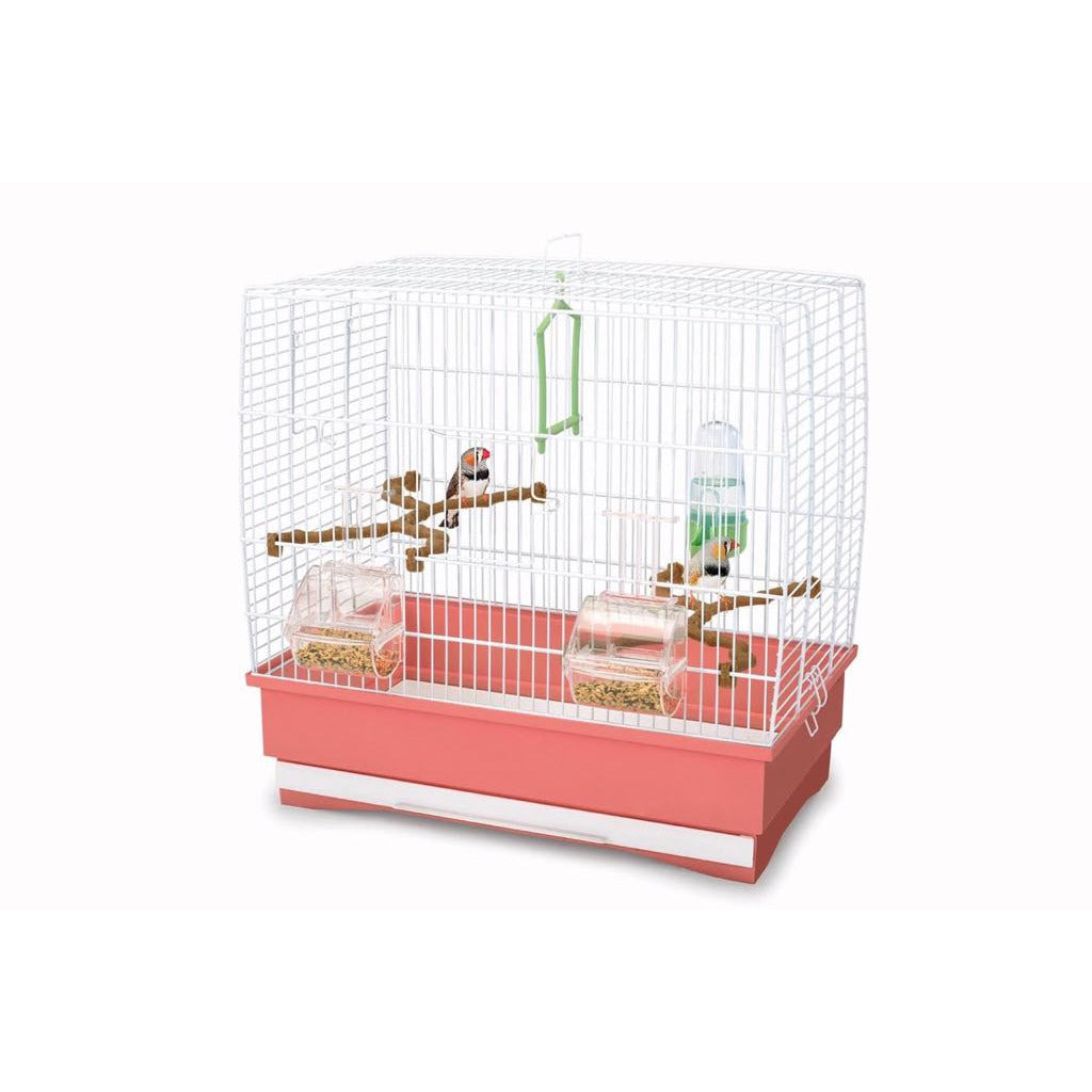 Birds cage ( IRENE 2 )