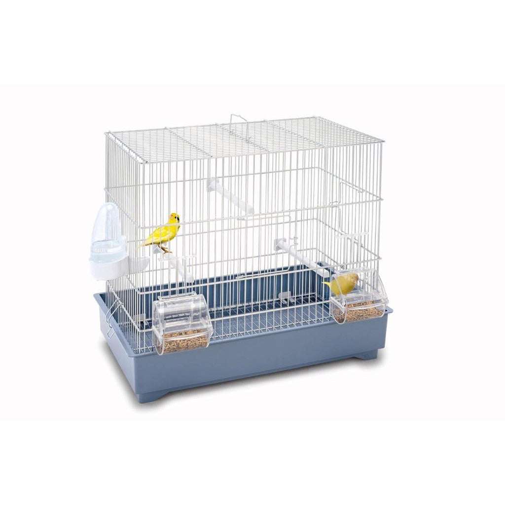 Birds cage ( COVA 42 )