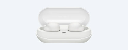 Sony WF-C500 truly wireless earbuds (WF-C500-WZ/BZ)