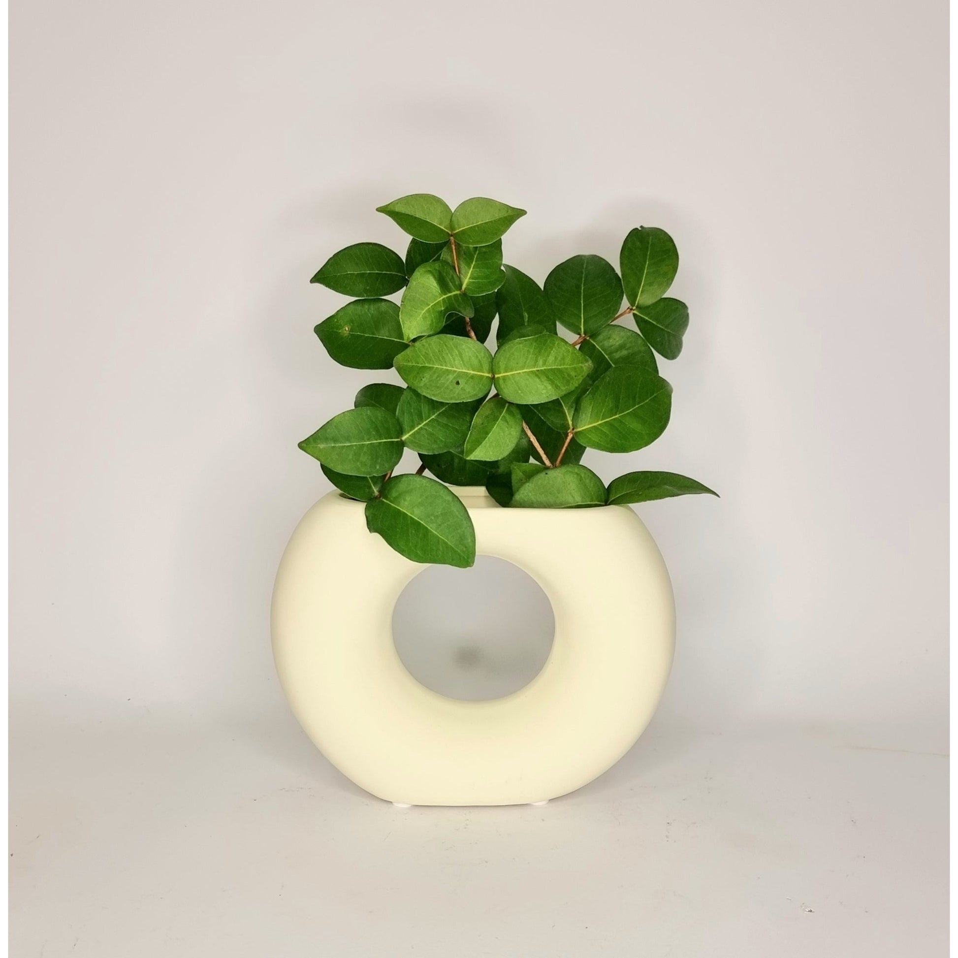 Ceramic Vase - 13 x 17 x 5 Cm