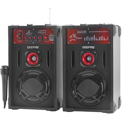 GEEPAS 2-Channel Professional Speaker GMS8425