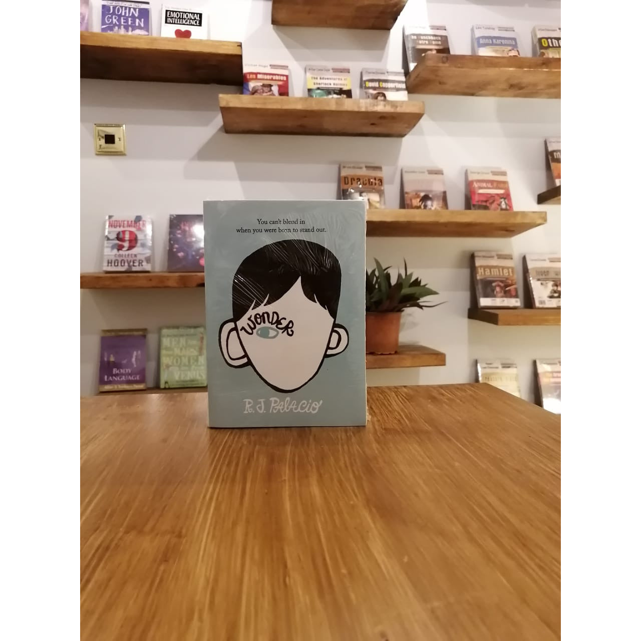 Wonder By R.J Palacio
