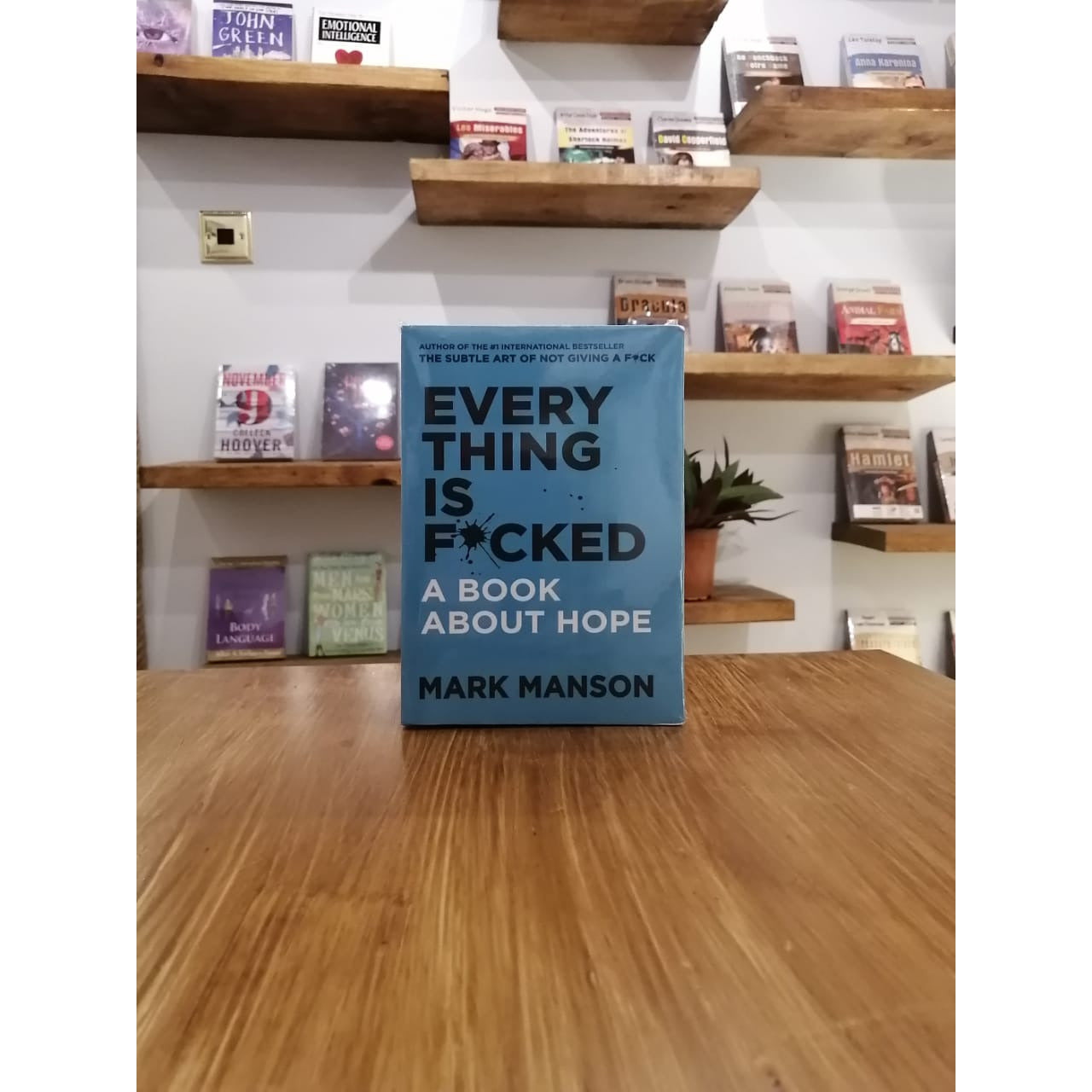 Every Thing Is F*cked By Mark Mansin