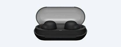 Sony WF-C500 truly wireless earbuds (WF-C500-WZ/BZ)