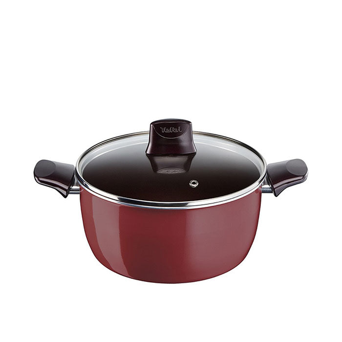 TEFAL Pleasure Non-stick 24cm Stew Pot with Lid, Red, Aluminum, D5024662